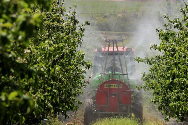 花卉果树禁用农药,不同的花卉果树忌用农药不同