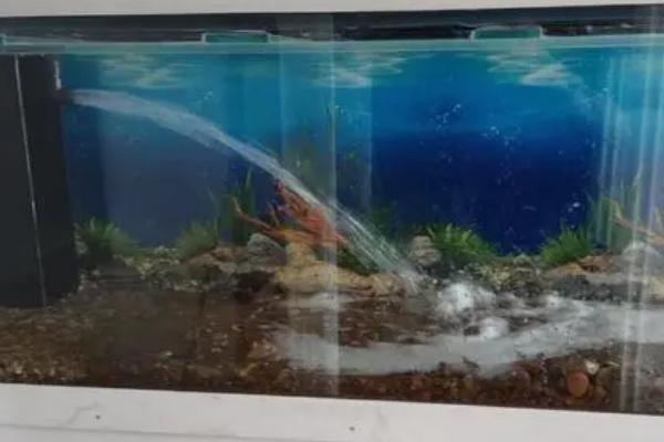 鱼缸水少了怎么加水,自来水必须要晾晒后再使用