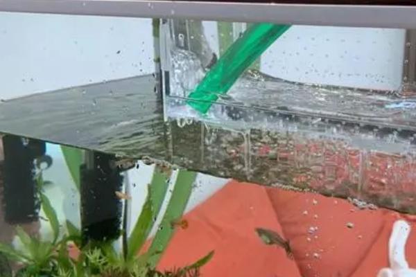 鱼缸水少了怎么加水,自来水必须要晾晒后再使用