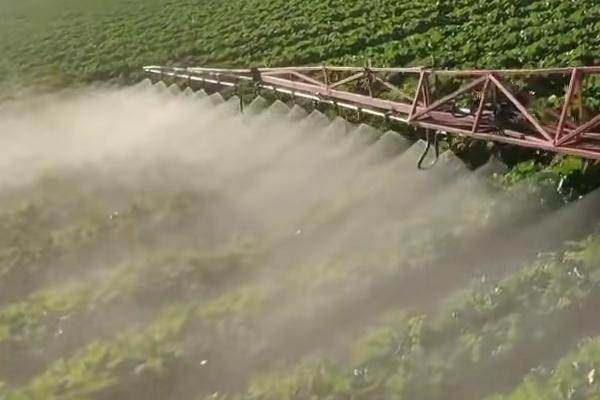 白菜病虫害防治方法,不同病害的防治方法不同