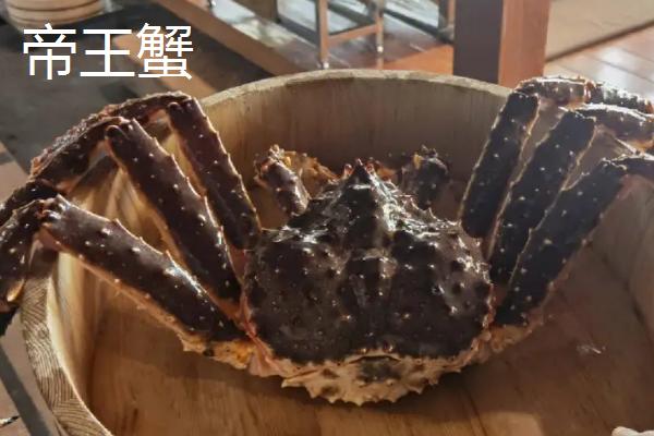 如何挑选肥美的帝王蟹，外壳呈黑绿色、且带有光泽的帝王蟹一般比较肥美