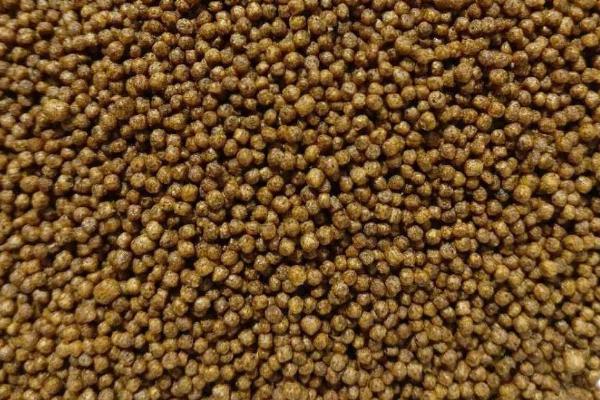 小金鱼吃什么饲料，动物性、植物性和合成饲料都吃