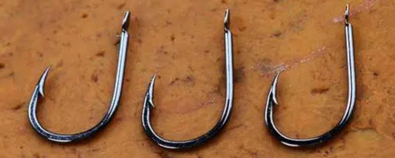 用5号伊势尼钩垂钓鲫鱼是否过大