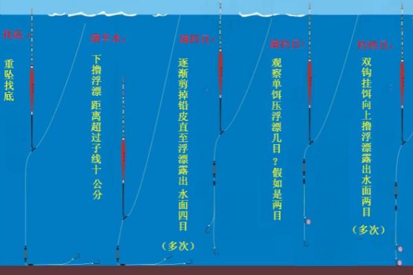 水库钓青鱼怎么调漂,调目也是重要的一方面