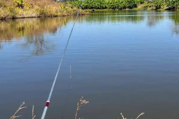 冬季晚上路亚翘嘴应该深水还是浅水，可以直接深水钓底