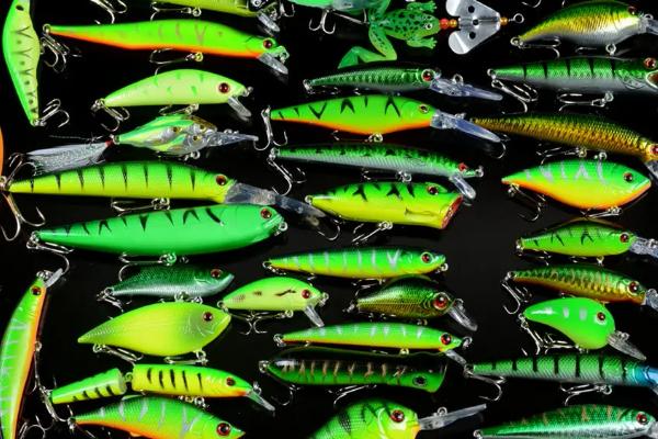 冬季晚上路亚翘嘴应该深水还是浅水，可以直接深水钓底