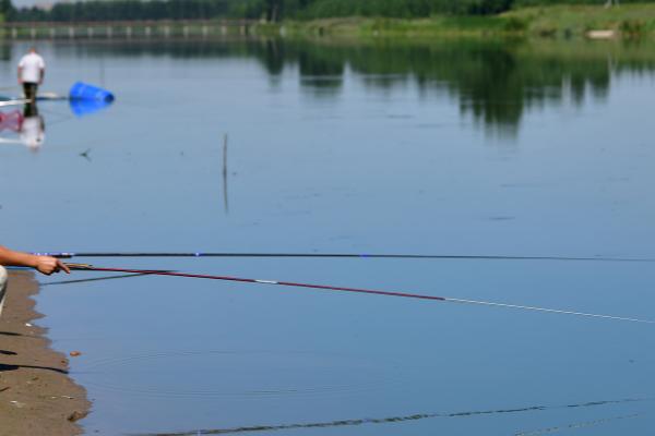 冬季晚上路亚翘嘴应该深水还是浅水，可以直接深水钓底