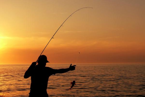 刮东风时鱼儿为何不开口,原因是气压较低、水中缺氧