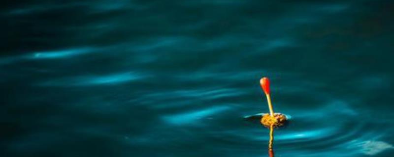 冬季能不能进行夜钓