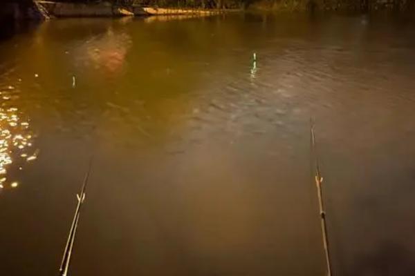 冬季能不能进行夜钓,可以垂钓但效果不佳