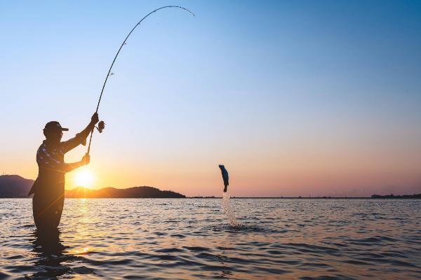 晚上钓鲤鱼钓底还是钓浮,一般钓底更合适一些