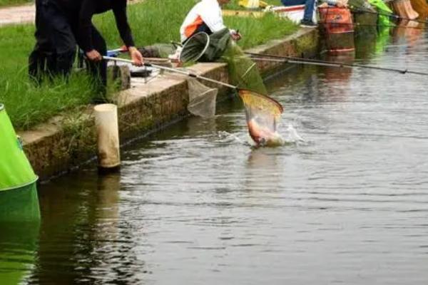 晚上钓鲤鱼钓底还是钓浮,一般钓底更合适一些