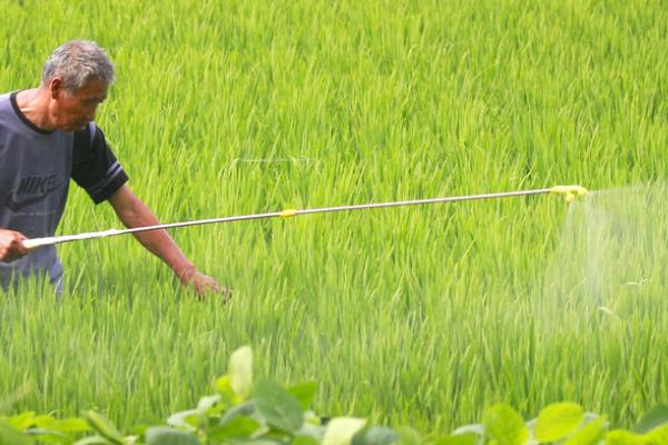 以肥治虫的方法,根外喷施尿素溶液可防治红蜘蛛等害虫