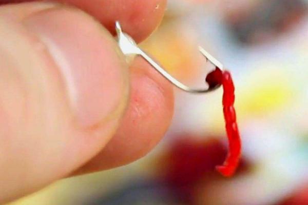 钓青鱼用的红虫球怎么制作，将多条红虫同时放入