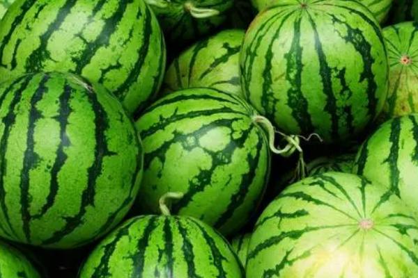 西瓜为何出现水托瓜，一般是雨水过多、氮肥过量等原因所导致