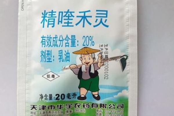 玉米不能用哪些除草剂,精喹禾灵和氯嘧磺隆均不适用