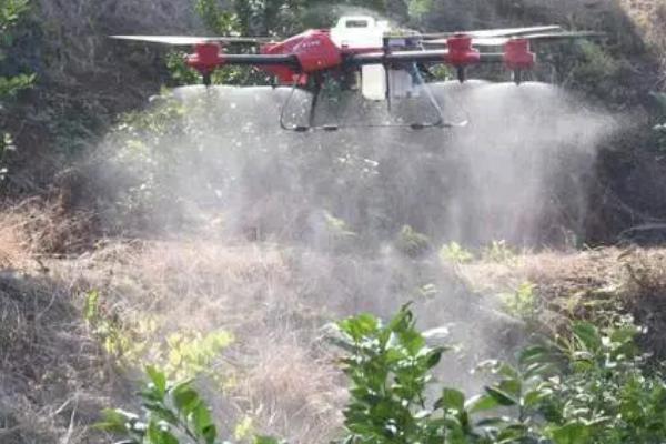 果树小叶病发生原因,主要是由于缺锌所引发