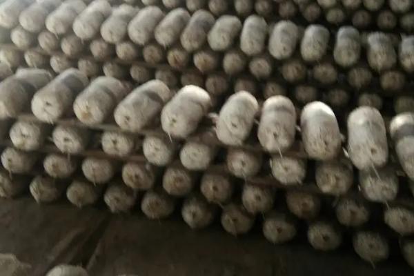 羊肚菌栽培配方,常用材料包括栎木屑、棉籽壳、麦麸等物质