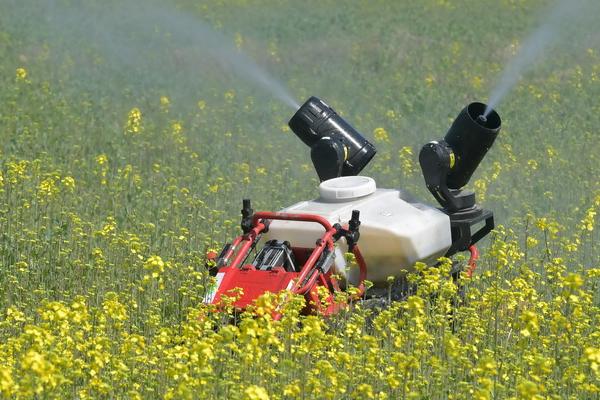 油菜蚜虫的发生规律,主要有萝卜蚜和桃蚜两种