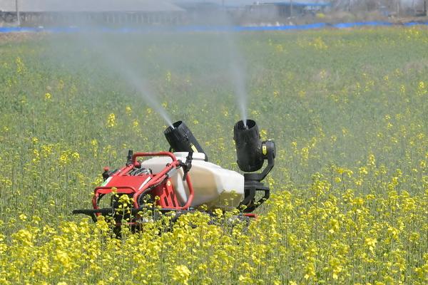 油菜蚜虫的发生规律,主要有萝卜蚜和桃蚜两种