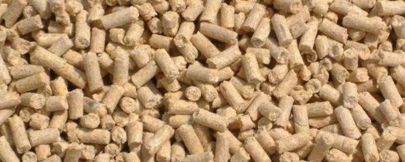 蛋白质在饲料中的作用