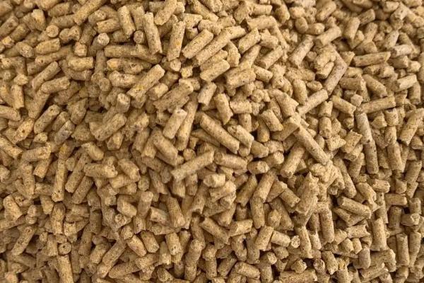 蛋白质在饲料中的作用,可释放出能量供给畜禽需要