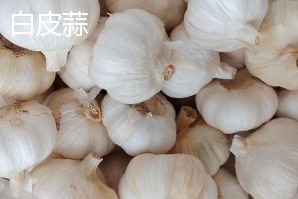 白皮蒜和紫皮蒜的区别,外皮的颜色明显不同