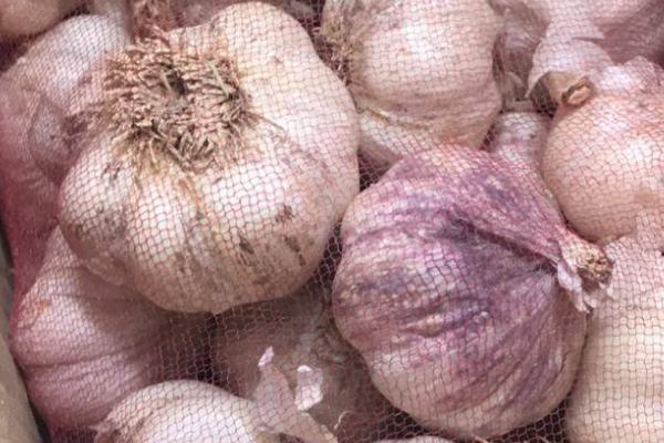 白皮蒜和紫皮蒜的区别,外皮的颜色明显不同