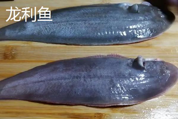 巴沙鱼有鱼鳞吗,是无鱼鳞的鱼类