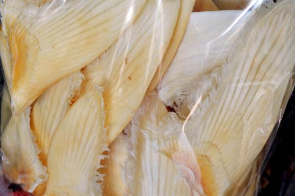 鱼翅是用什么制成,通常用鲨鱼等软骨鱼类的鳍制成