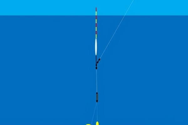 水库钓鱼适合用什么漂,芦苇漂、孔雀翎浮漂均是适宜选择