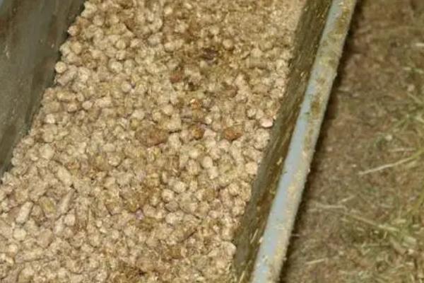 牛羊饲料配方,饲养方式不同饲料配方也不同