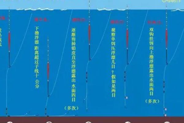 钓鱼如何调漂,可通过修剪铅皮调节重量
