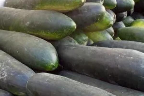 冬天怎么保存冬瓜,在贮存架上放置垫料后再堆放存储