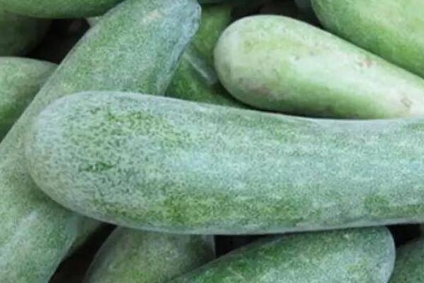 冬天怎么保存冬瓜,在贮存架上放置垫料后再堆放存储