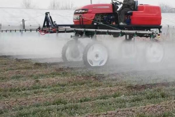 用什么药可以有效防治白飞虱,噻虫啉、噻虫嗪、呋虫胺等药剂是适宜选择