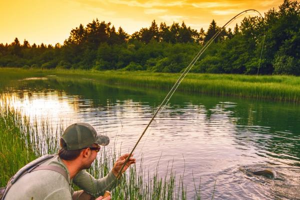 6月份钓鱼用哪种鱼饵,适合使用清淡味型饵料