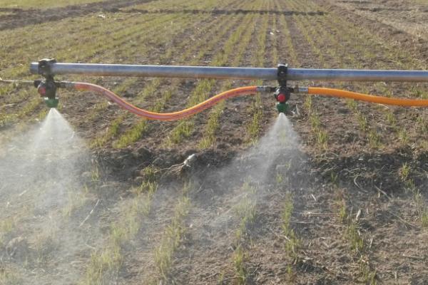 苏云金杆菌可以防治哪些害虫,主要防治菜青虫、小菜蛾、烟青虫等鳞翅目害虫