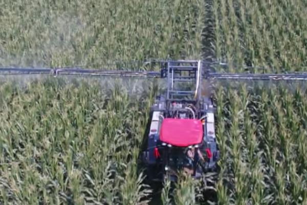 苏云金杆菌可以防治哪些害虫,主要防治菜青虫、小菜蛾、烟青虫等鳞翅目害虫