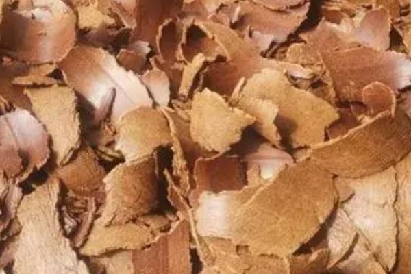 用菜籽饼打窝适合钓什么鱼,适合垂钓草鱼、鳊鱼、鲤鱼等鱼种