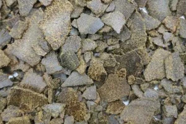 用菜籽饼打窝适合钓什么鱼,适合垂钓草鱼、鳊鱼、鲤鱼等鱼种