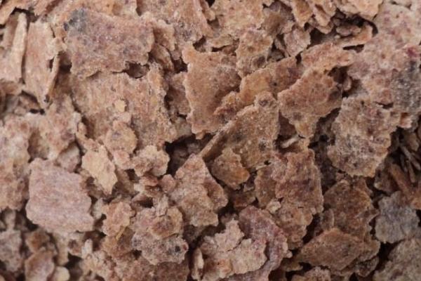 花生麸能否直接埋土使用,不能直接埋土使用、否则容易烧根