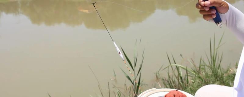 钓鱼时如何调漂