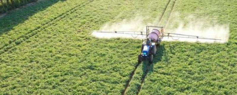 叶面肥的使用方法