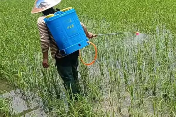 叶面肥的使用方法,根据作物选择合适的叶片肥