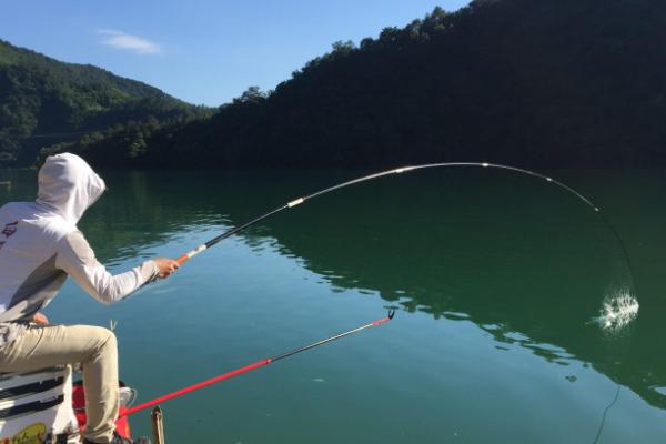 水库钓鲤鱼的垂钓深度,适宜深度为1.5-3米