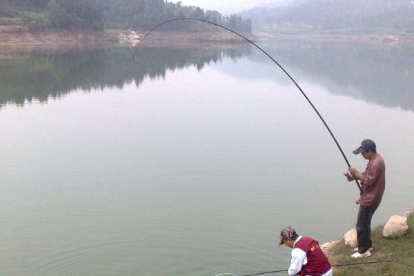 水库钓鲤鱼的垂钓深度,适宜深度为1.5-3米