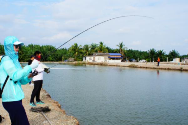 冬季阴天适合钓鱼吗,不建议在冬季阴天垂钓