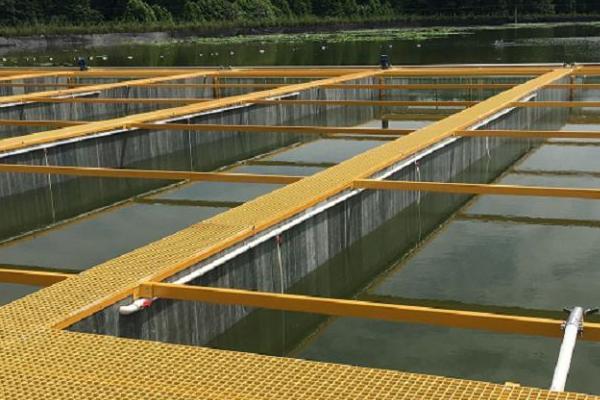 水蛭的养殖方法,在避风向阳和排灌方便的地方建造养殖池塘