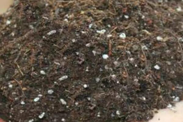 草莓基质栽培的配方,以下2种配方常用